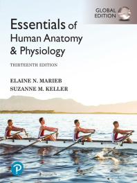 Essentials of Human Anatomy and Physiology, Global Edition