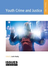 Image for Youth crime and justice