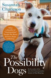 Cover art of The Possibility Dogs: What a Handful of