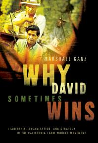 Why David Sometimes Wins : Leadership, Organization, and Strategy in the California Farm Worker Movement Cover Image