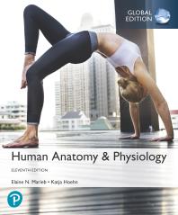 Human Anatomy and Physiology - Marieb