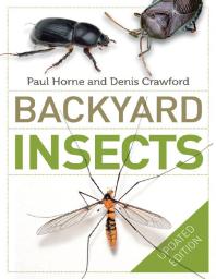 Image for Backyard Insects Updated Edition