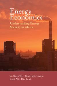 Energy Economics : Understanding Energy Security in China